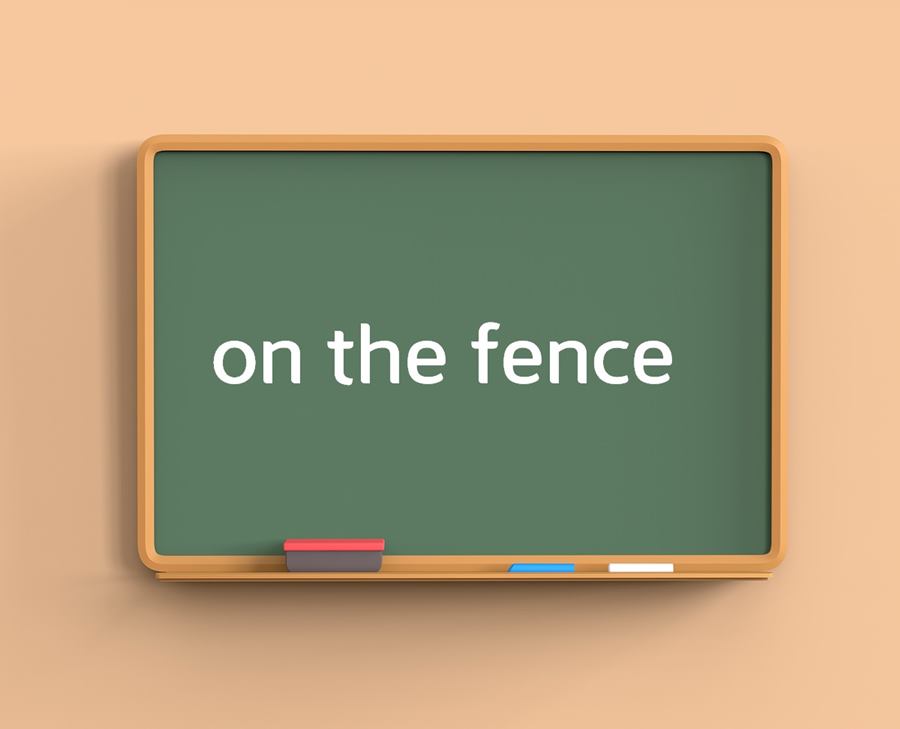 on the fence